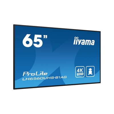 Монитор iiyama PROLITE LH6560UHS-B1AG 65