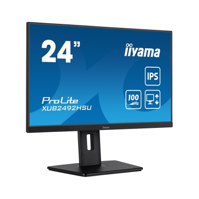 Монитор iiyama ProLite PL2492H XUB2492HSU-B6 24