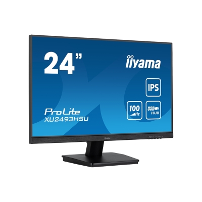 Монитор iiyama ProLite PL2493HS XU2493HSU-B6 24